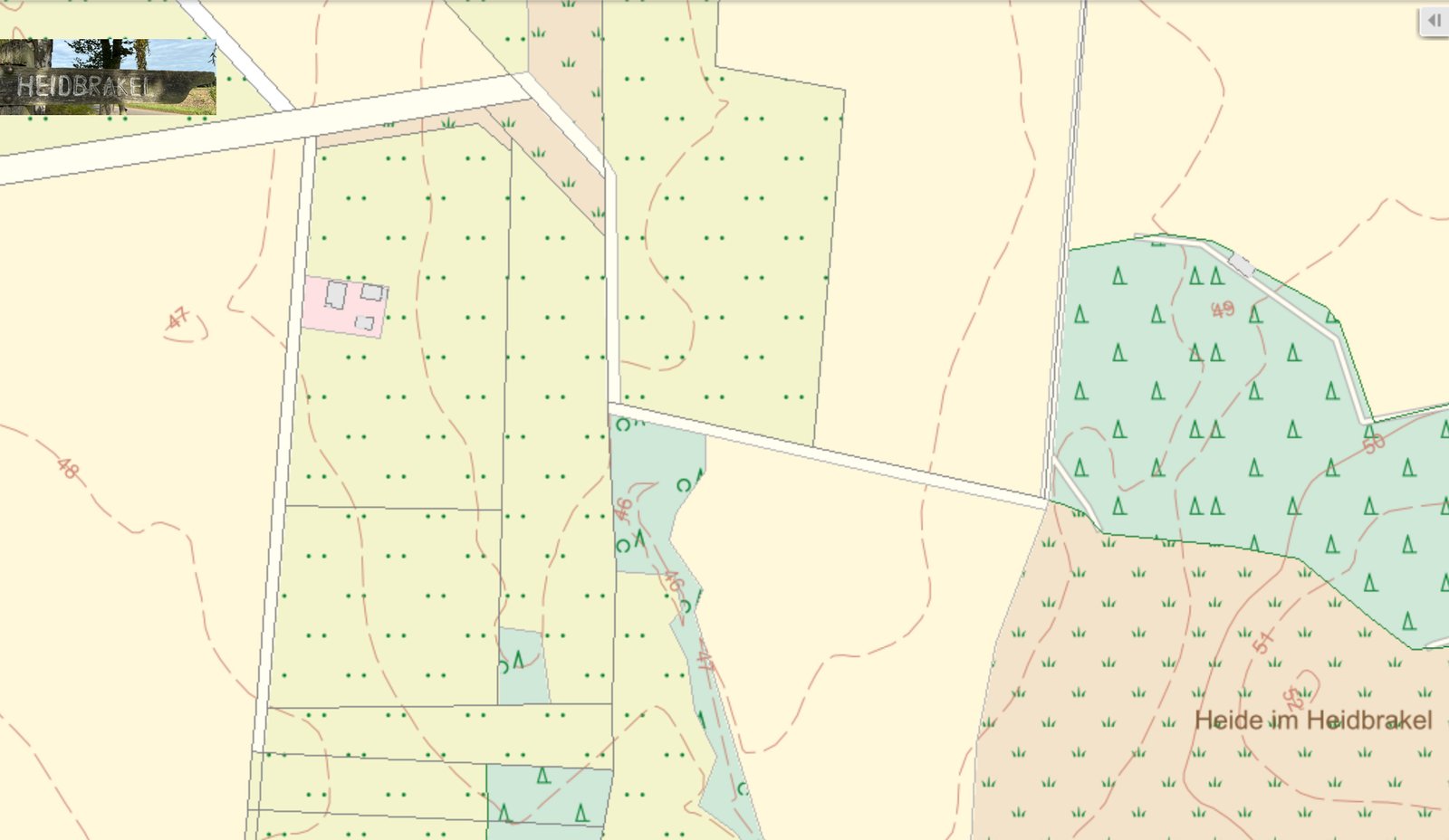 Heide im Heidbrakel