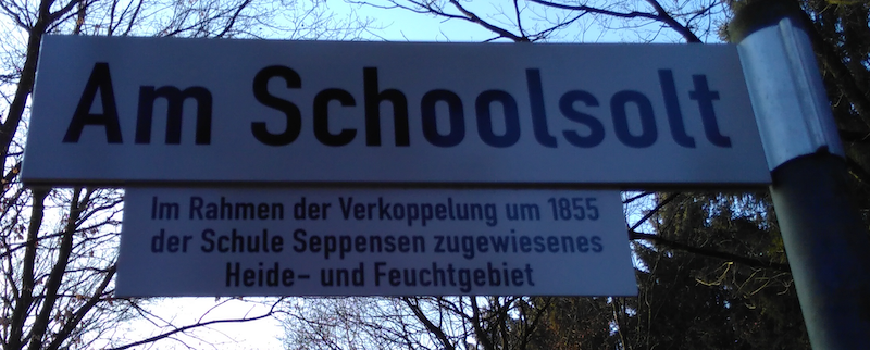Am Schoolsolt