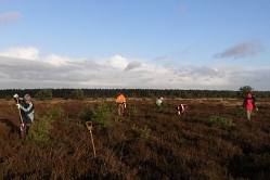 Entkusseln am Brunsberg