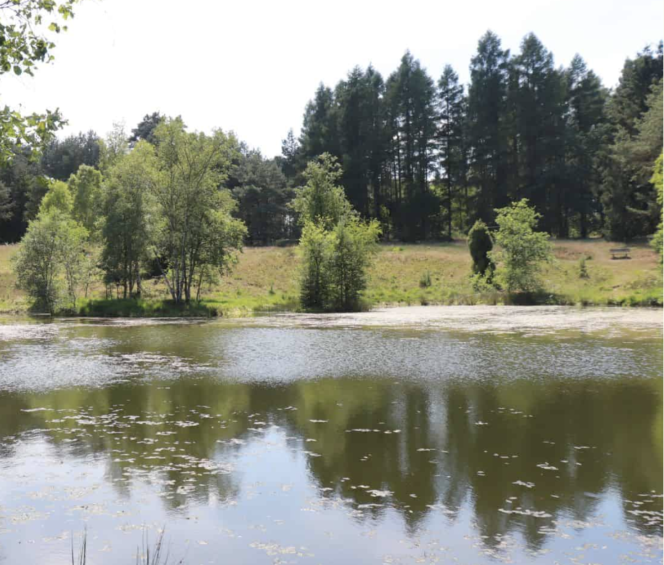 Pastorenteich bei Wesel